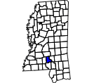 Map of Jefferson Davis County