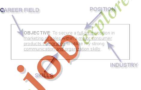 samples of resumes objectives. sample resume summary for