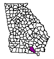 Map of Clinch County
