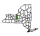 Map of Cayuga County