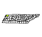 Map of Obion County